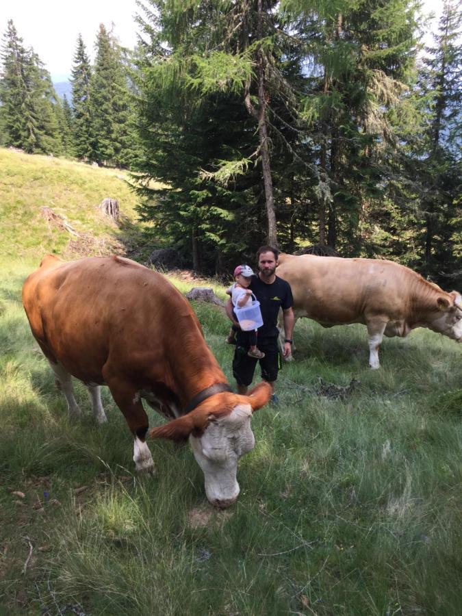 Gluecksmueh- Ferienhaus In Alleinlage Plus Bauernhoferlebnis Einach Exteriör bild